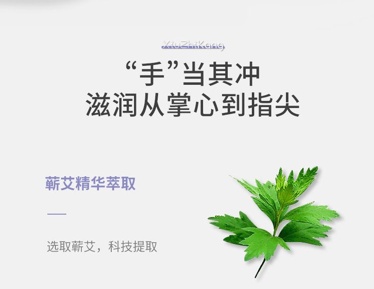 抗菌洗手液(圖7) 抗菌洗手液貼牌生產加工
