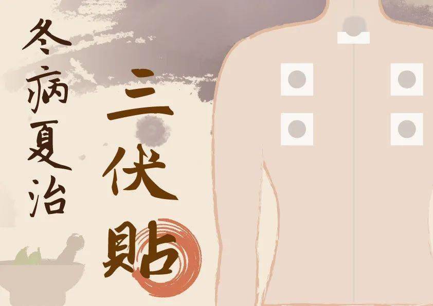 冬病夏治三伏貼生產廠家 冬病夏治三伏貼生產廠家